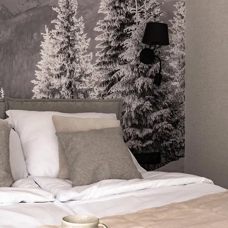 Zielona 55 Basen&sauna&parking Apartament Krynica-Zdrój